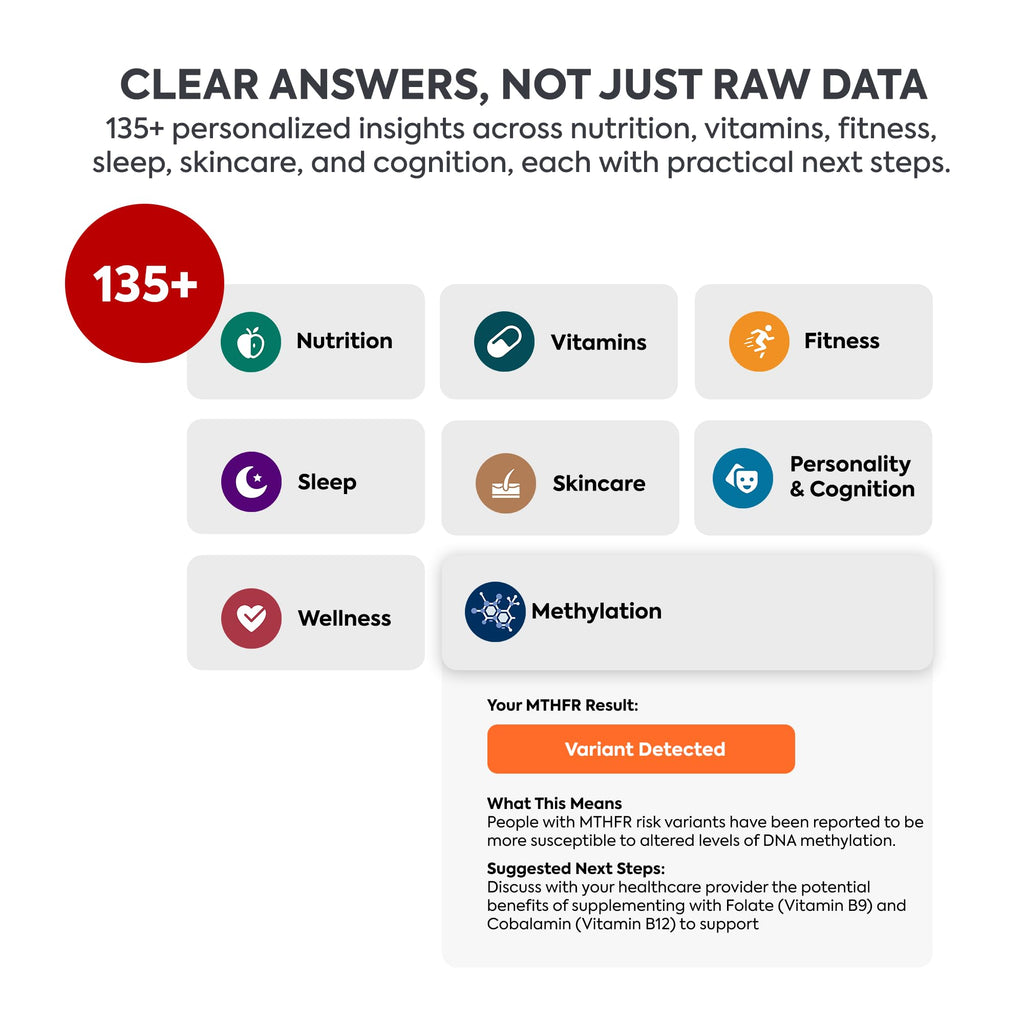 LifeDNA 13 Methylation Genes Test – Complete Wellness Analysis & 135+ Insights