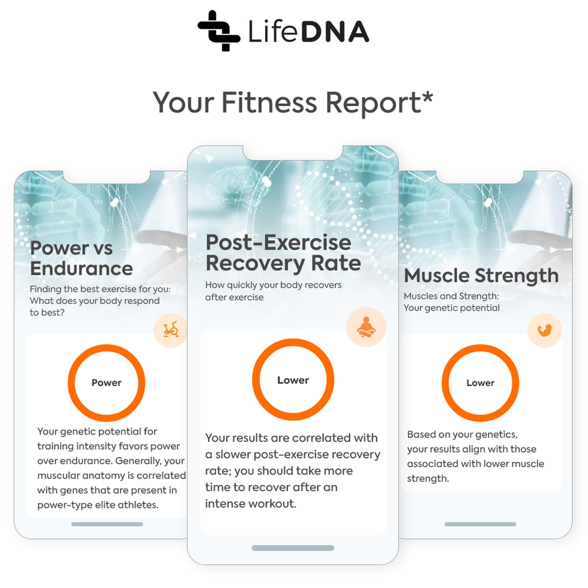 LifeDNA 13 Methylation Genes Test – Complete Wellness Analysis & 135+ Insights