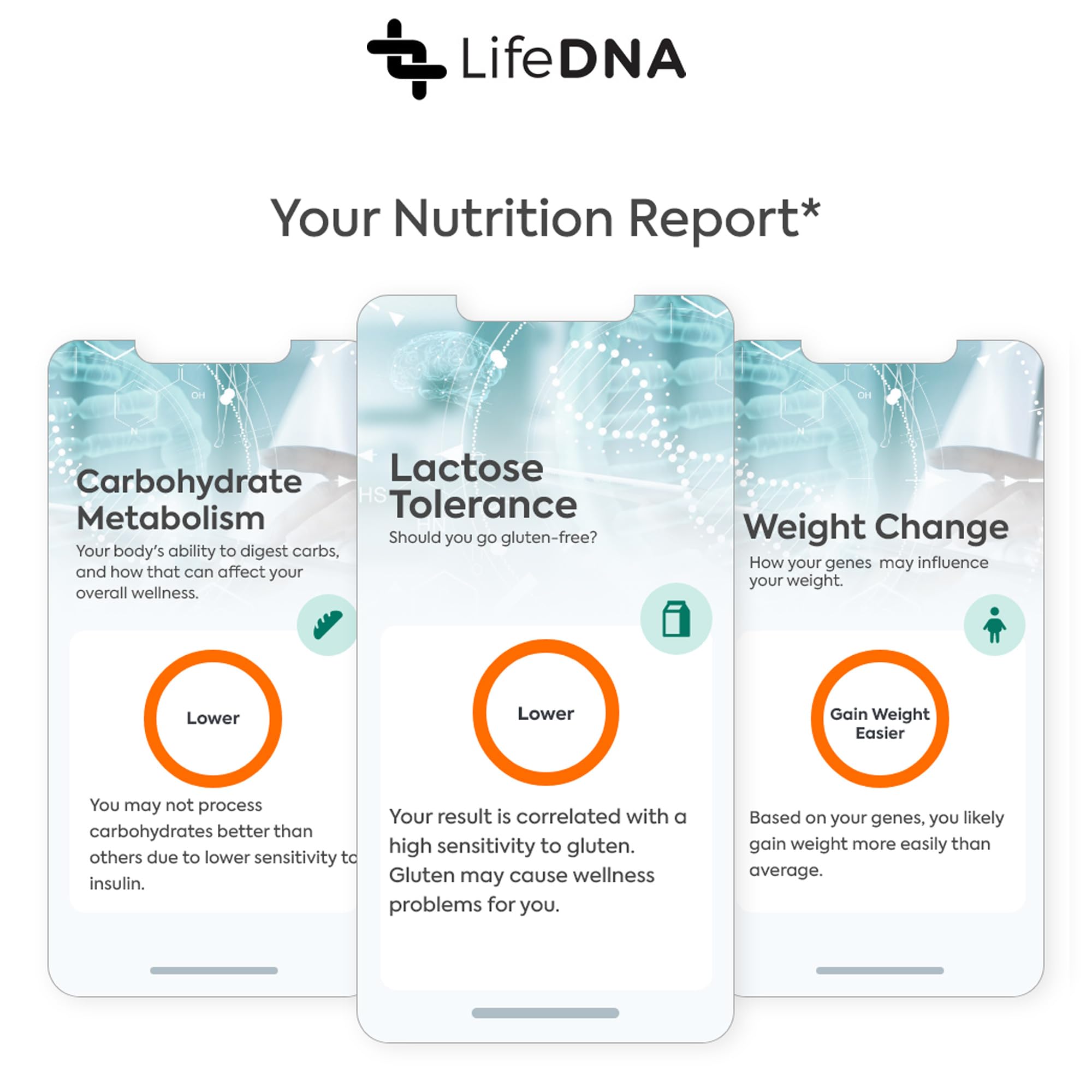 LifeDNA 13 Methylation Genes Test – Complete Wellness Analysis & 135+ Insights
