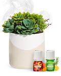 Lifelines Plant Diffuser Bundle – 2 ClickWick Blends | Rechargeable Aromatherapy