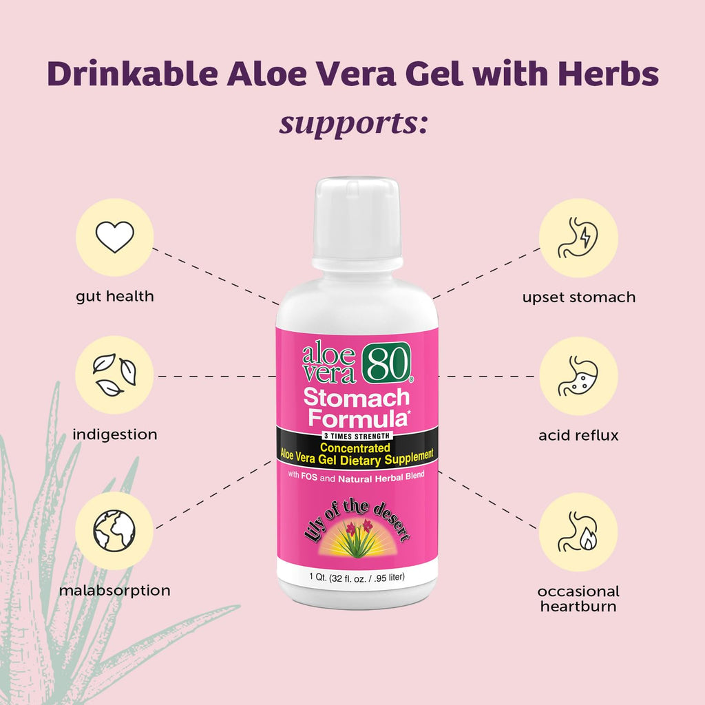 Lily Of The Desert Aloe Vera 80 Stomach Formula – 32 Oz Pack of 3 | Aloe Vera Juice with Slippery Elm, Chamomile, Peppermint & Ginger for Gut Health