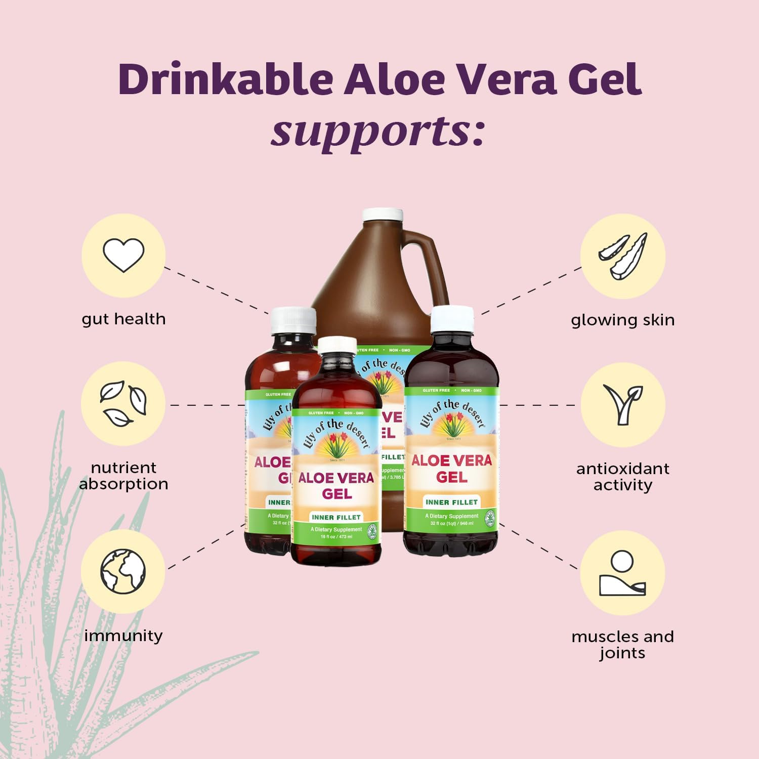 Lily Of The Desert Organic Aloe Vera Juice 2-Pack – Inner Fillet, Gut Health & Digestive Support, 32 Fl Oz Ea