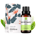 Lily of Valley Essential Oil 30ML – 100% Pure and Natural | Rainbow Abby