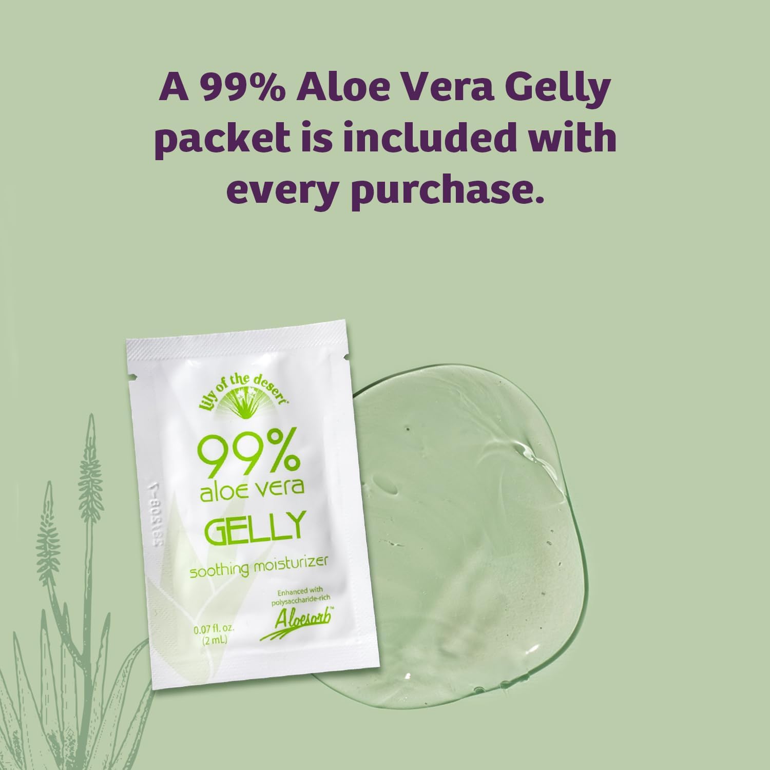 Lily Of The Desert Aloe Vera Gel, Preservative Free - Whole Leaf Filtered Thicker Consistency Aloe Vera Drink with Natural Vitamins, Digestive Enzymes for Gut Health, Wellness, Glowing Skin, 32 Fl Oz