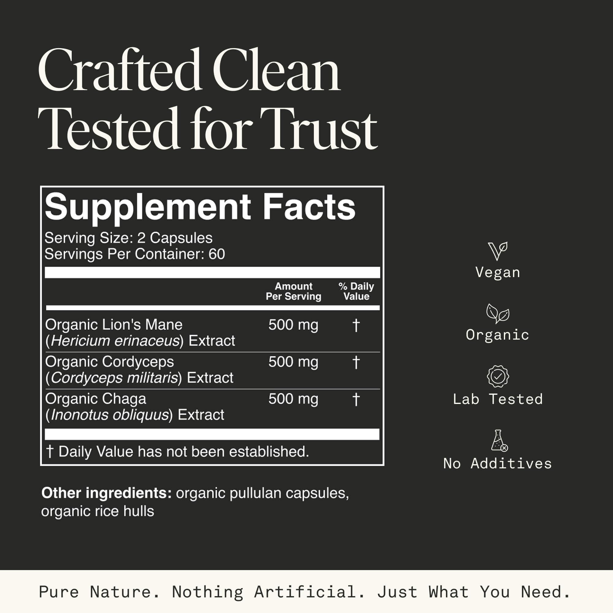 Mushroom Supplement with Lions Mane, Chaga & Cordyceps – USDA Organic, Vegan, 120 Caps (2-Month Supply)