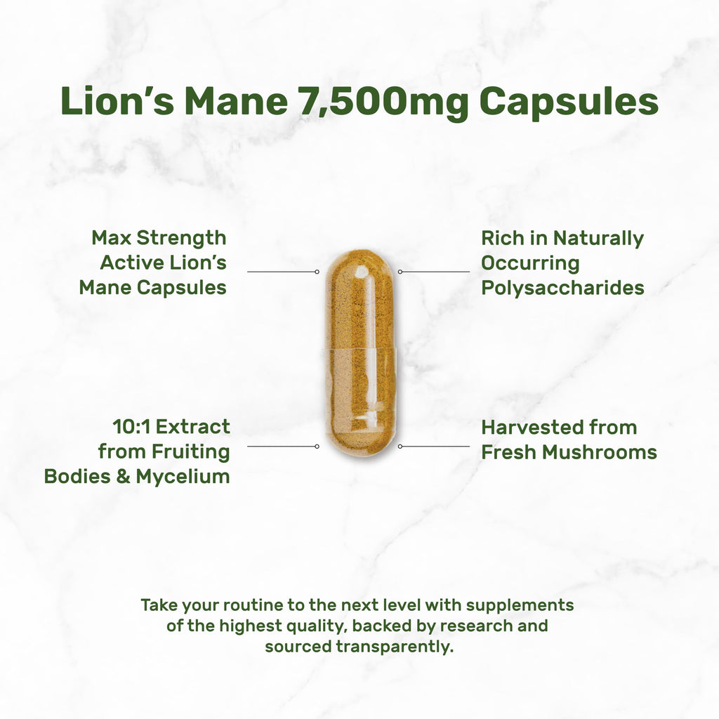 Lion's Mane Mushroom Supplement – 240 Capsules – Active Fruiting Body & Mycelium Extract – Non-GMO