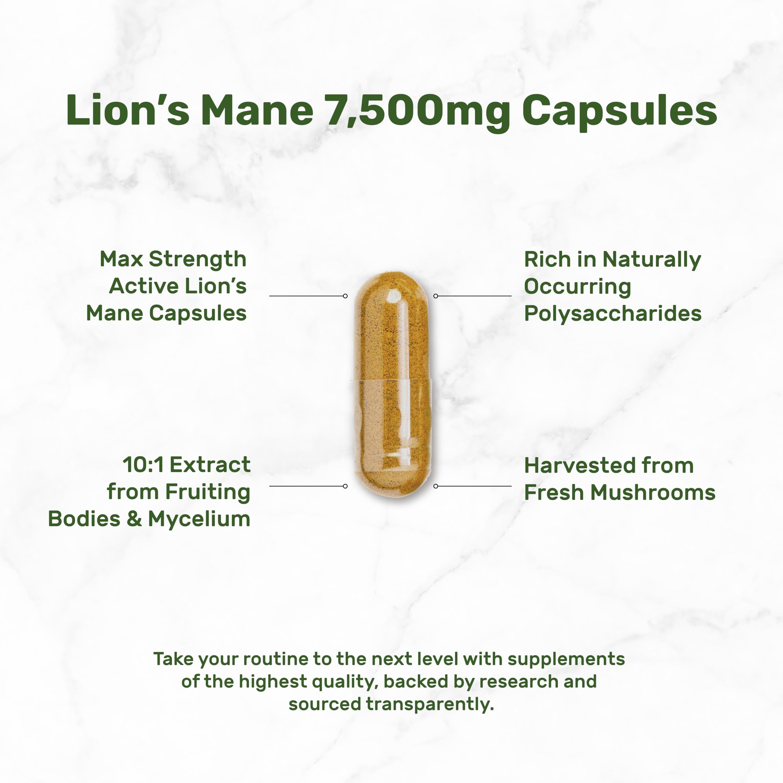 Lion's Mane Mushroom Supplement – 240 Capsules – Active Fruiting Body & Mycelium Extract – Non-GMO