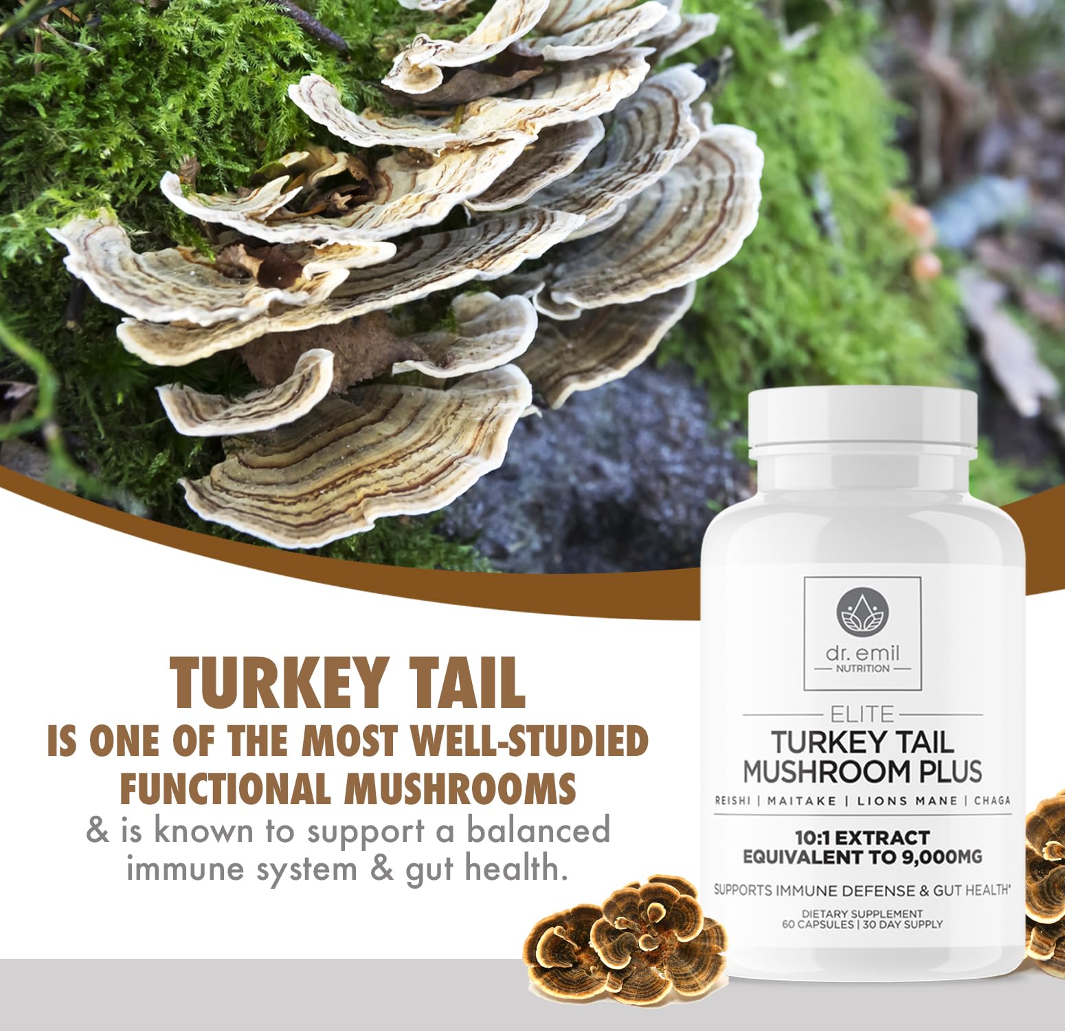 Dr. Emil Nutrition Turkey Tail Mushroom Capsules – Immunity & Gut Health Formula with Lion's Mane, Chaga, Reishi & Maitake