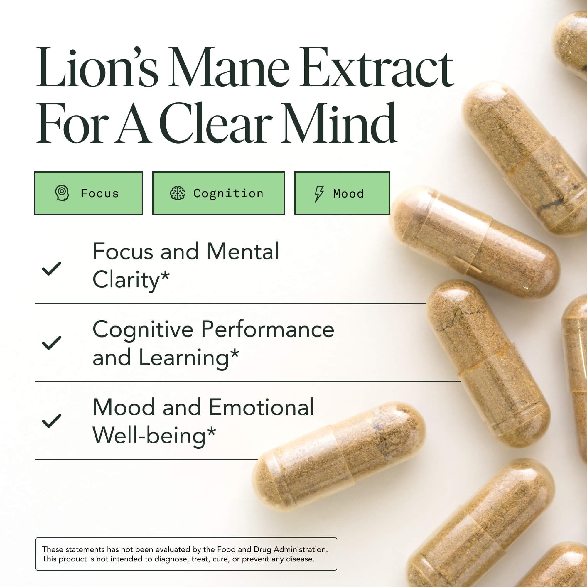 Lions Mane Mushroom Capsules – Memory, Focus & Mood Support | USDA Organic, Vegan, 120 Caps