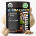Lions Mane Mushroom Capsules – Memory, Focus & Mood Support | USDA Organic, Vegan, 120 Caps