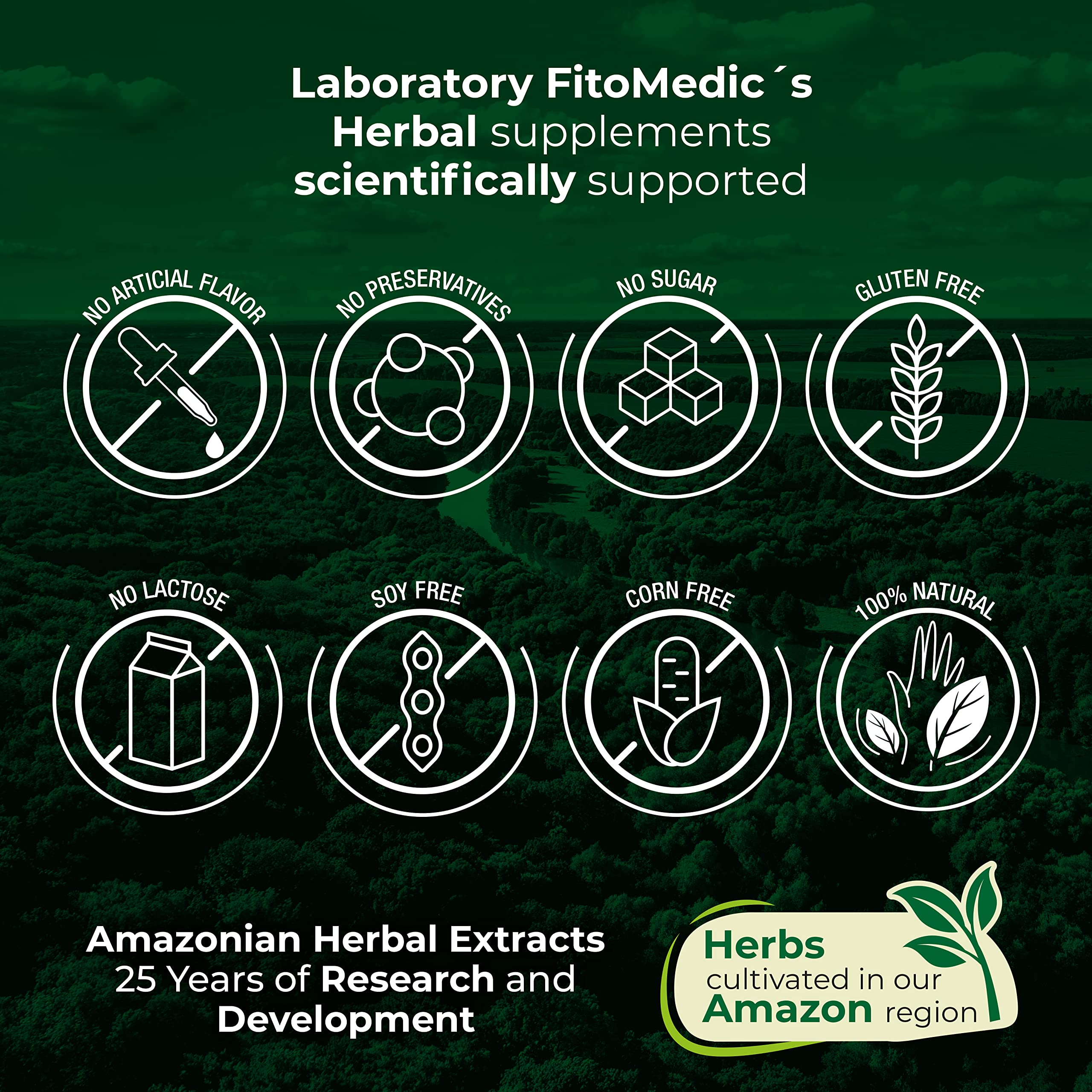 FITO MEDIC'S Lab Lions Mane Supplement - 120 Capsules | Ultra High Absorption