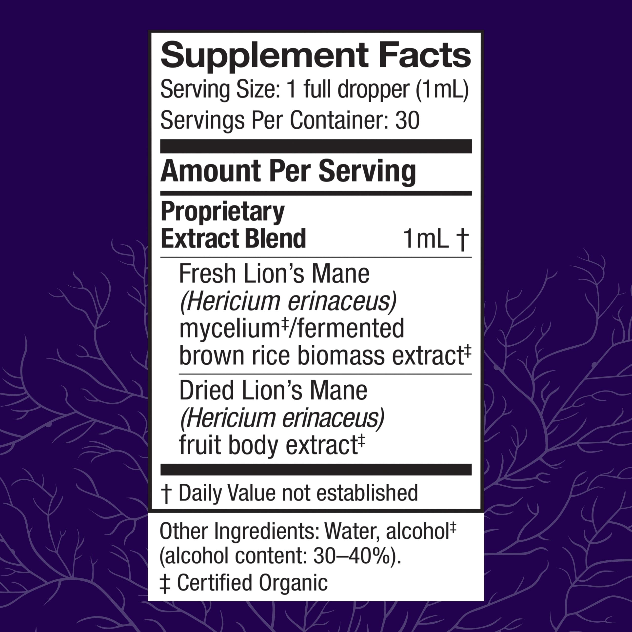 Host Defense Mushrooms Lion's Mane Extract – Brain Health & Focus Support (1 fl oz)