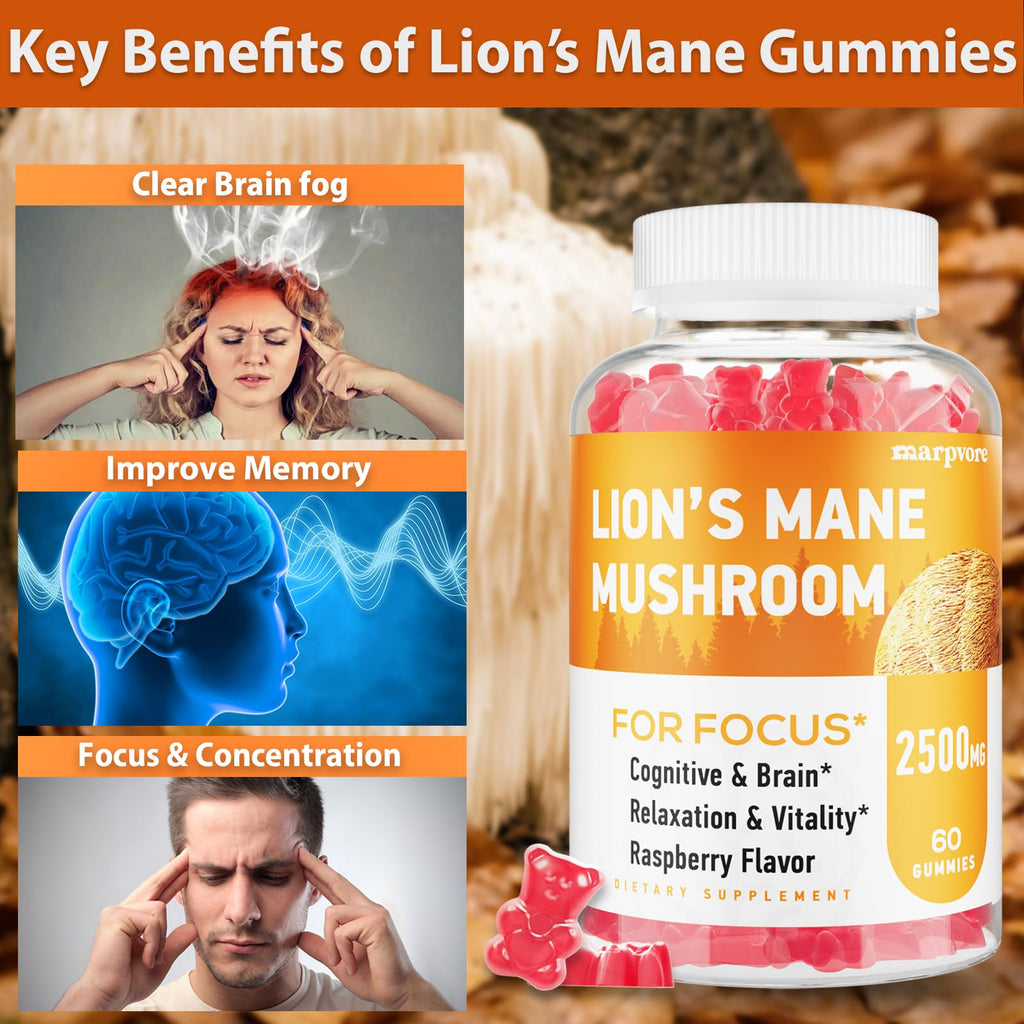 Lions Mane Gummies with Ashwagandha & Alpha GPC – Organic Lion's Mane, 60 Count