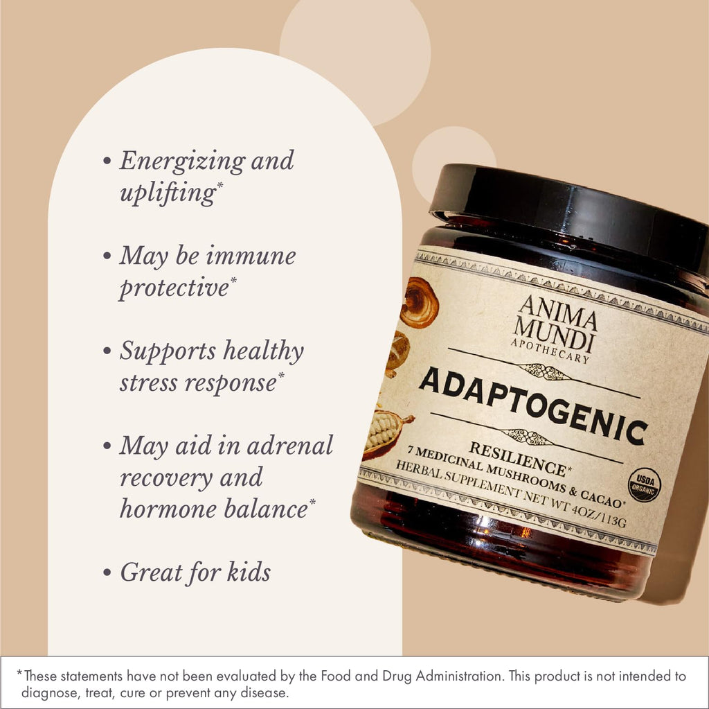 Anima Mundi Apothecary Organic Mushroom Supplement - Adaptogenic Mushrooms + Cacao (4oz / 113g)