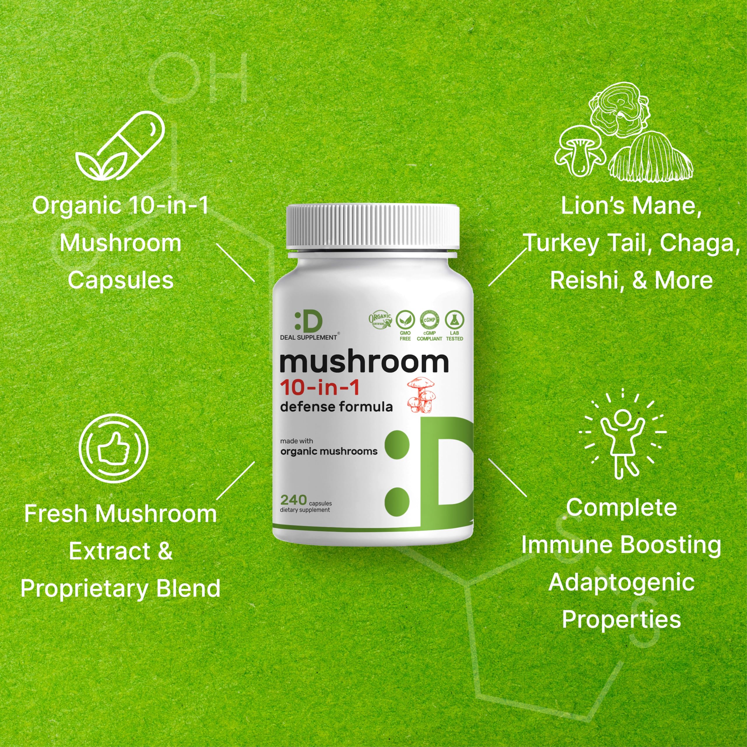 Organic 10-in-1 Mushroom Supplement – 240 Capsules – Immune & Nootropic Support (Non-GMO)
