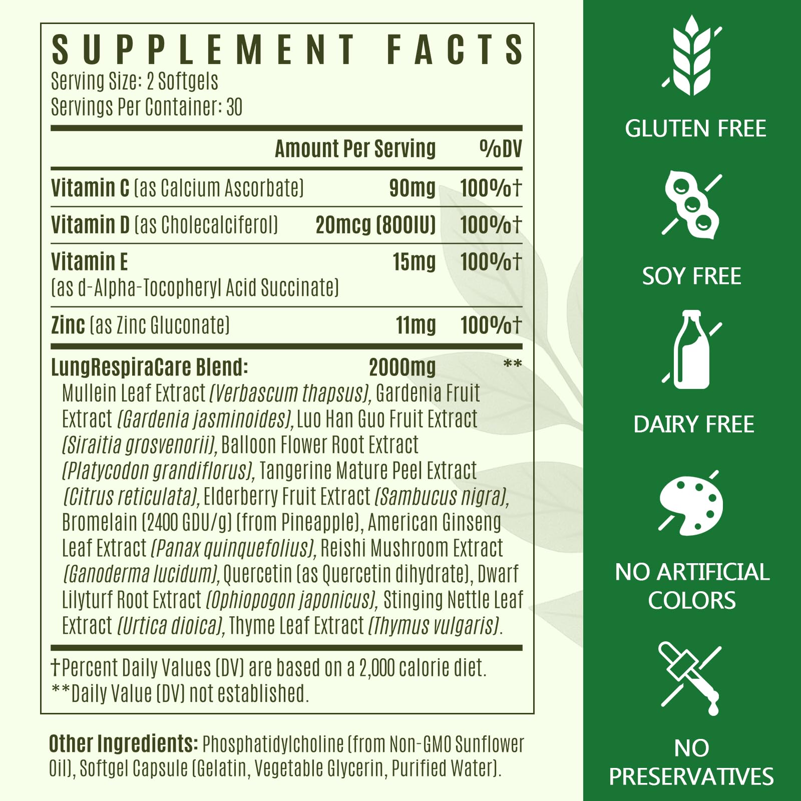 Liposomal Lung Cleansemax Supplement – Mullein Leaf & Elderberry, Quercetin + 13 Herbs & Vitamins | 120 Capsules