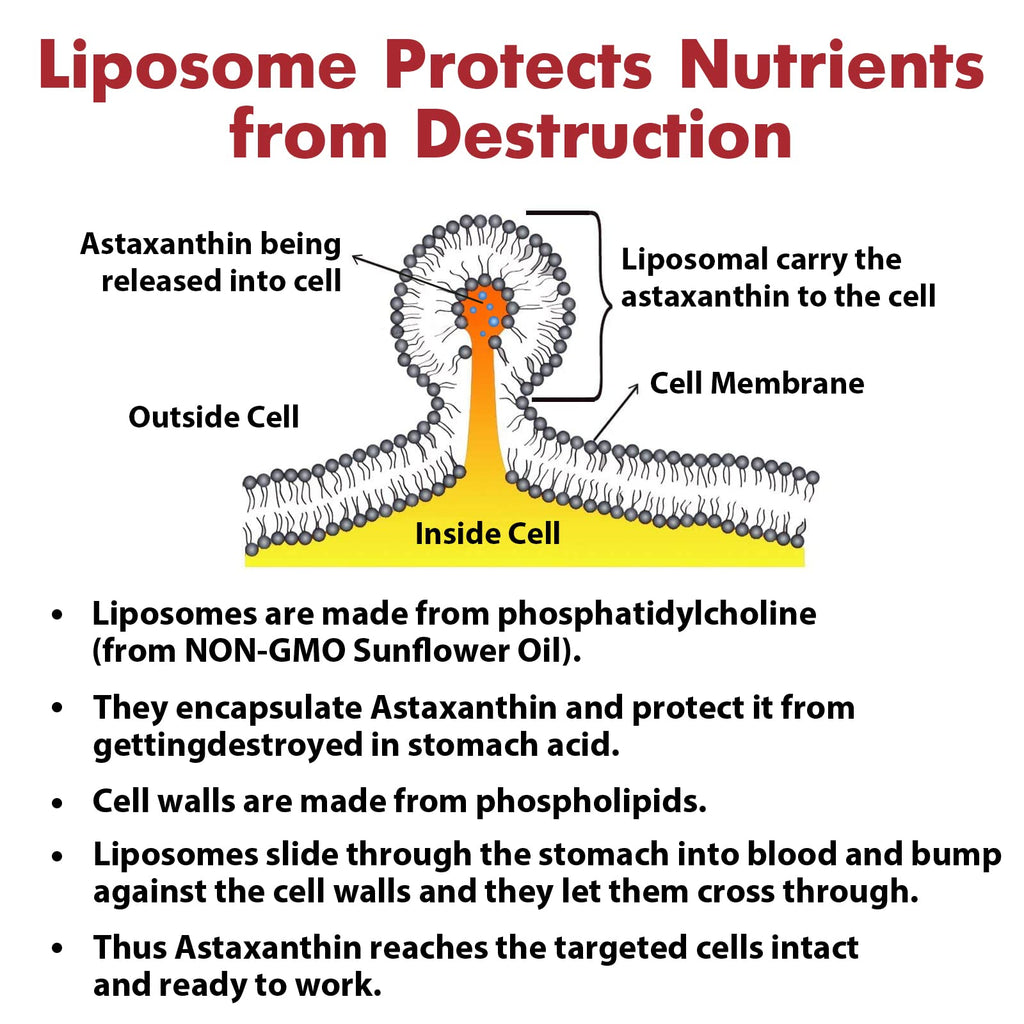 Liposomal Astaxanthin 24MG — Maximum Absorption, Non-GMO & Gluten Free, 120 Softgels