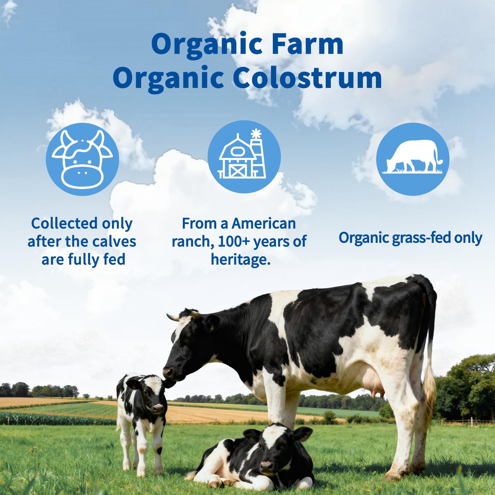 VNNIQ Bovine Colostrum Powder – 3X Absorption, 3,000 mg IgG, Organic Grass-Fed, Ultra-Low Temp Freeze-Dried, 50 Servings