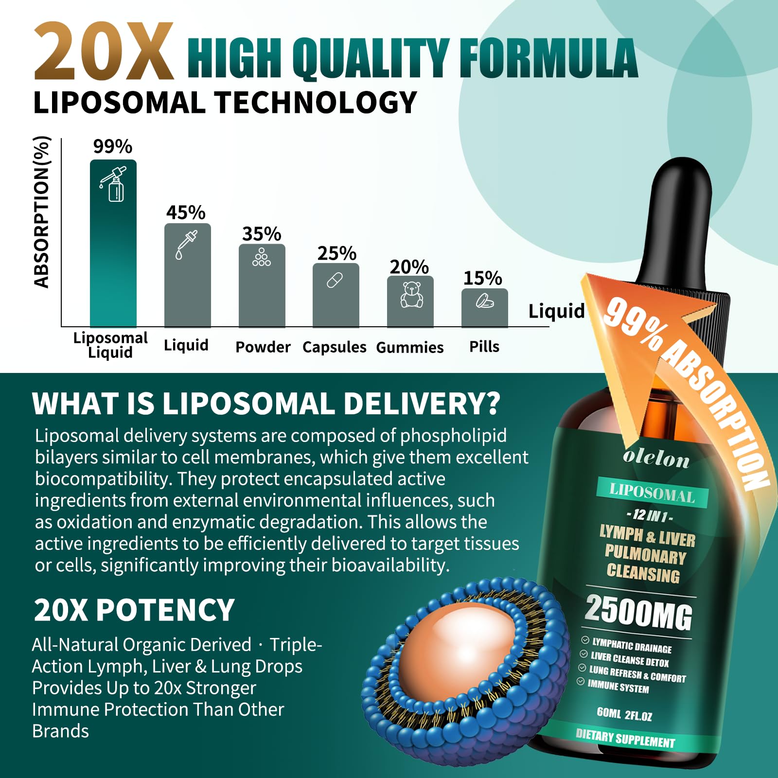 Liposomal Lymph-Liver-Lung Cleanse Drops 2500mg – Immune Support (2 oz)