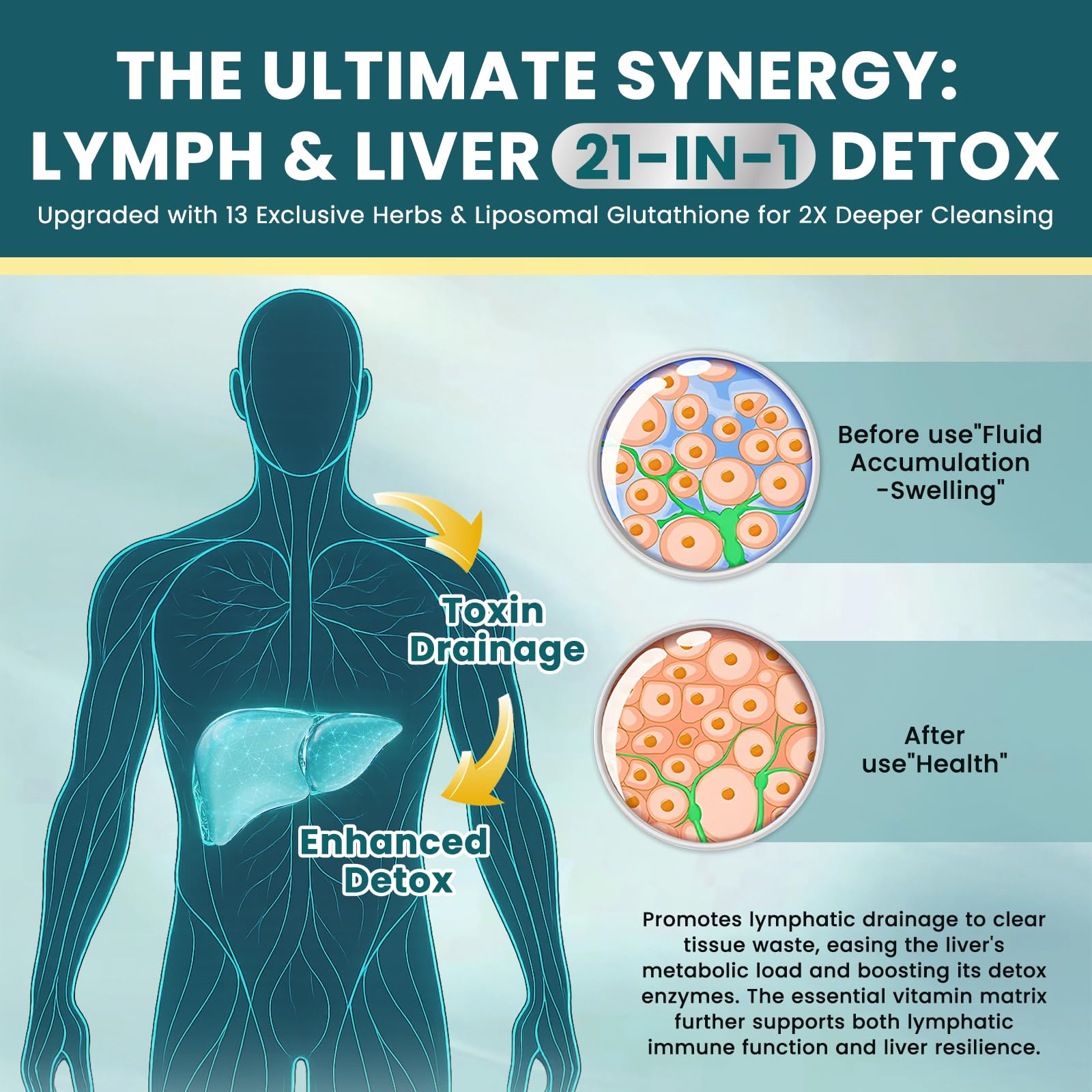 Liposomal Lymphatic Drainage Drops – 21 in 1 Liver Cleanse Detox & Repair (Milk Thistle, Echinacea, Burdock, Glutathione)