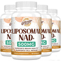 Caenciennes Liposomal NAD+ 500 mg Supplement — True NAD+, Superior Absorption, 240 Servings