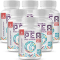 Liposomal Palmitoylethanolamide (PEA) 1000 mg + Luteolin 100 mg | Micronized 99% Purity | 360 Softgels