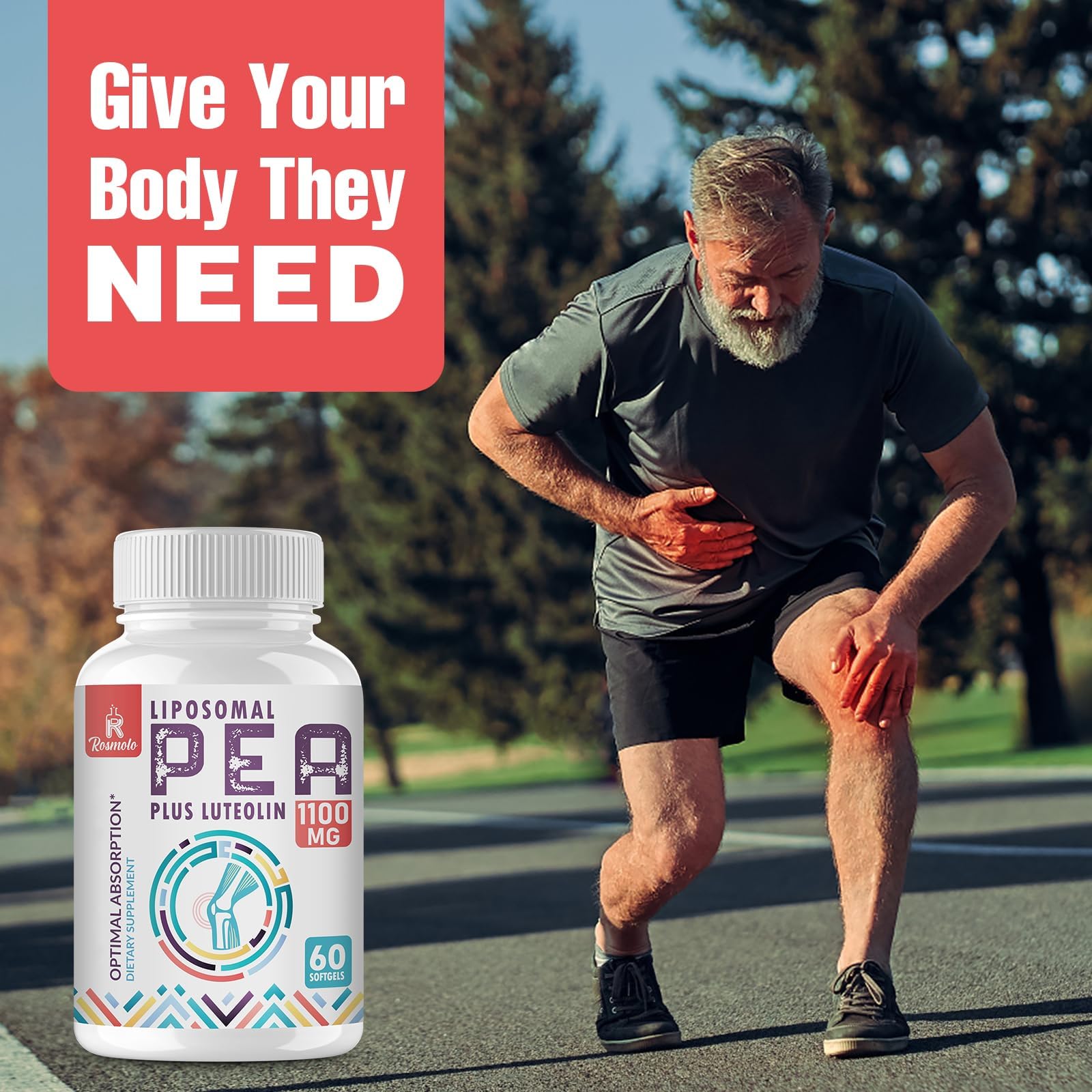 Liposomal Palmitoylethanolamide (PEA) 1000 mg + Luteolin 100 mg | Micronized 99% Purity | 360 Softgels