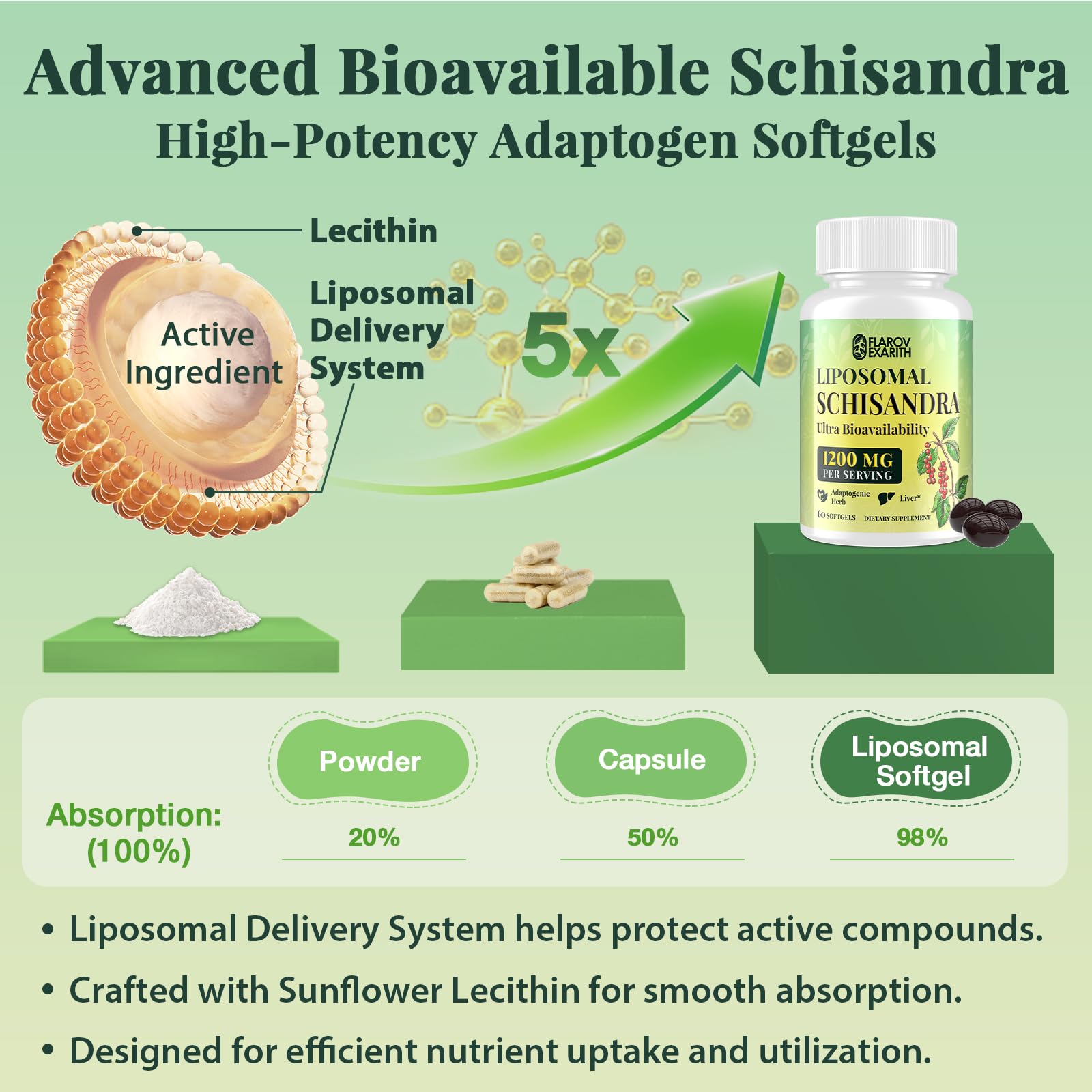 Liposomal Schisandra Berry Extract 1200mg – Stress & Adrenal Support | Vegan Softgels