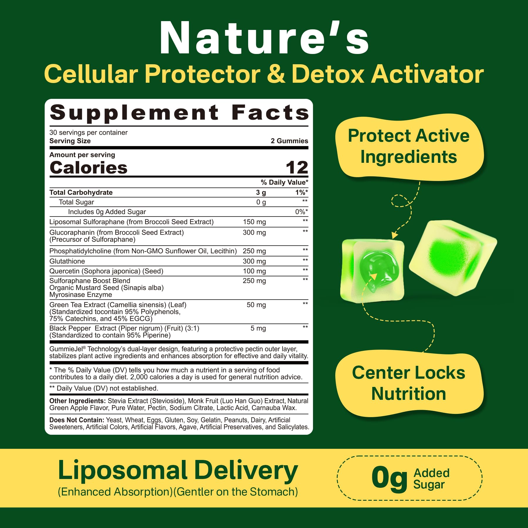Liposomal Sulforaphane 150mg Gummies – Broccoli Seed Extract, Myrosinase, 60 Count