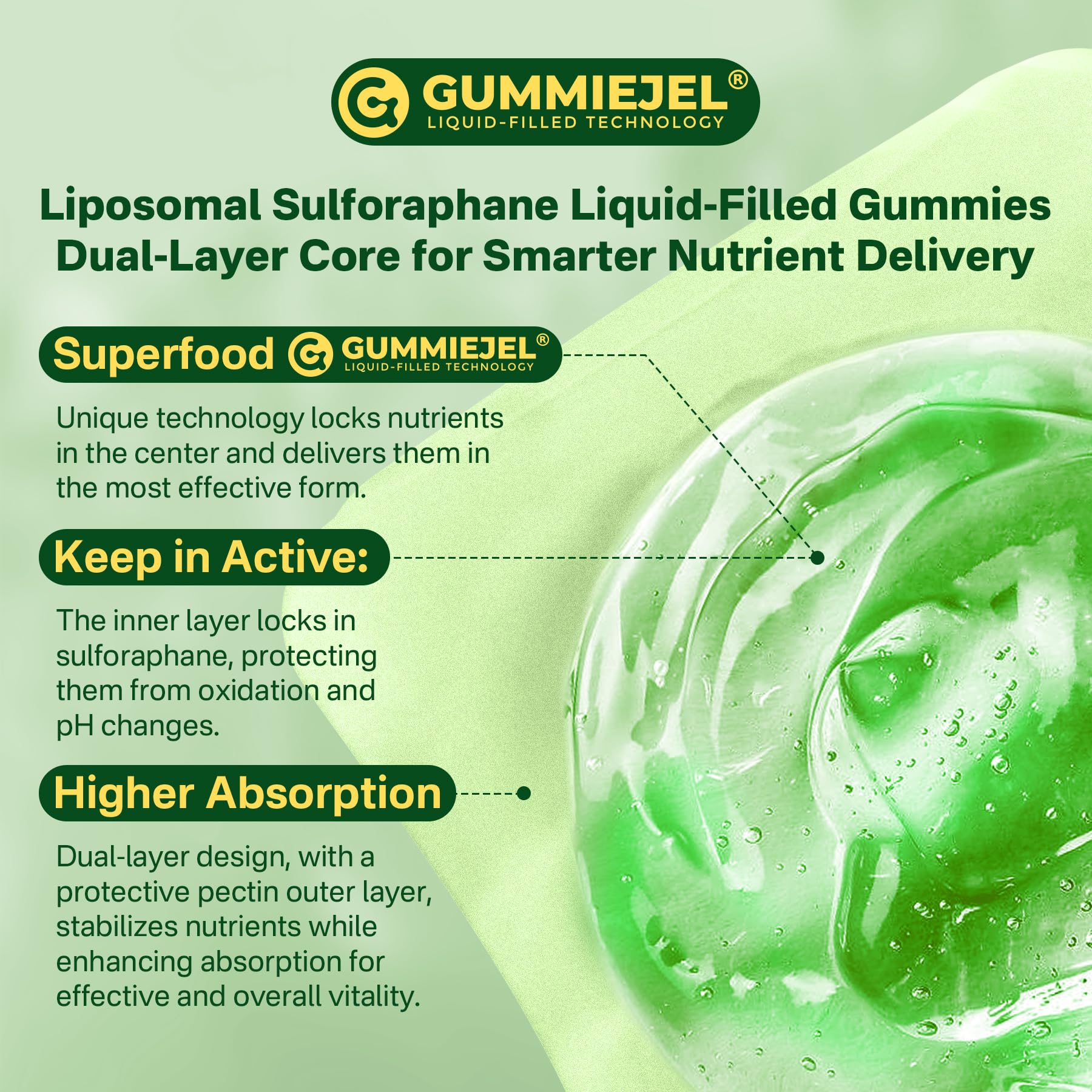 Liposomal Sulforaphane 150mg Gummies – Broccoli Seed Extract, Myrosinase, 60 Count