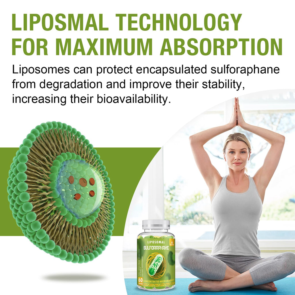 800 mg Liposomal Sulforaphane – Dual-Delivery, Full-Spectrum Broccoli Extract | 360 Softgels