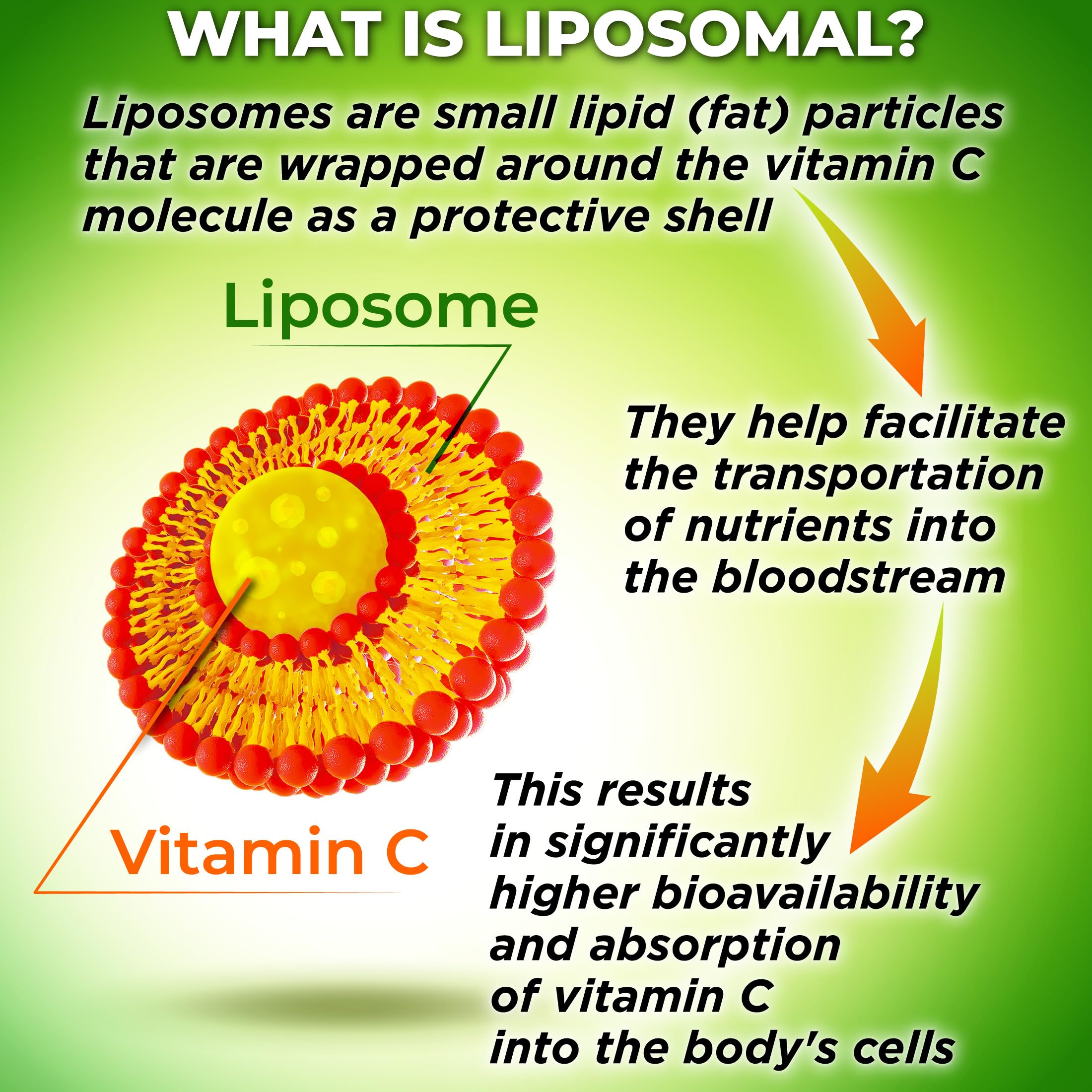 Liposomal Vitamin C 1100mg Liquid Gel Capsules – Organic Acerola Cherries | 120 ct