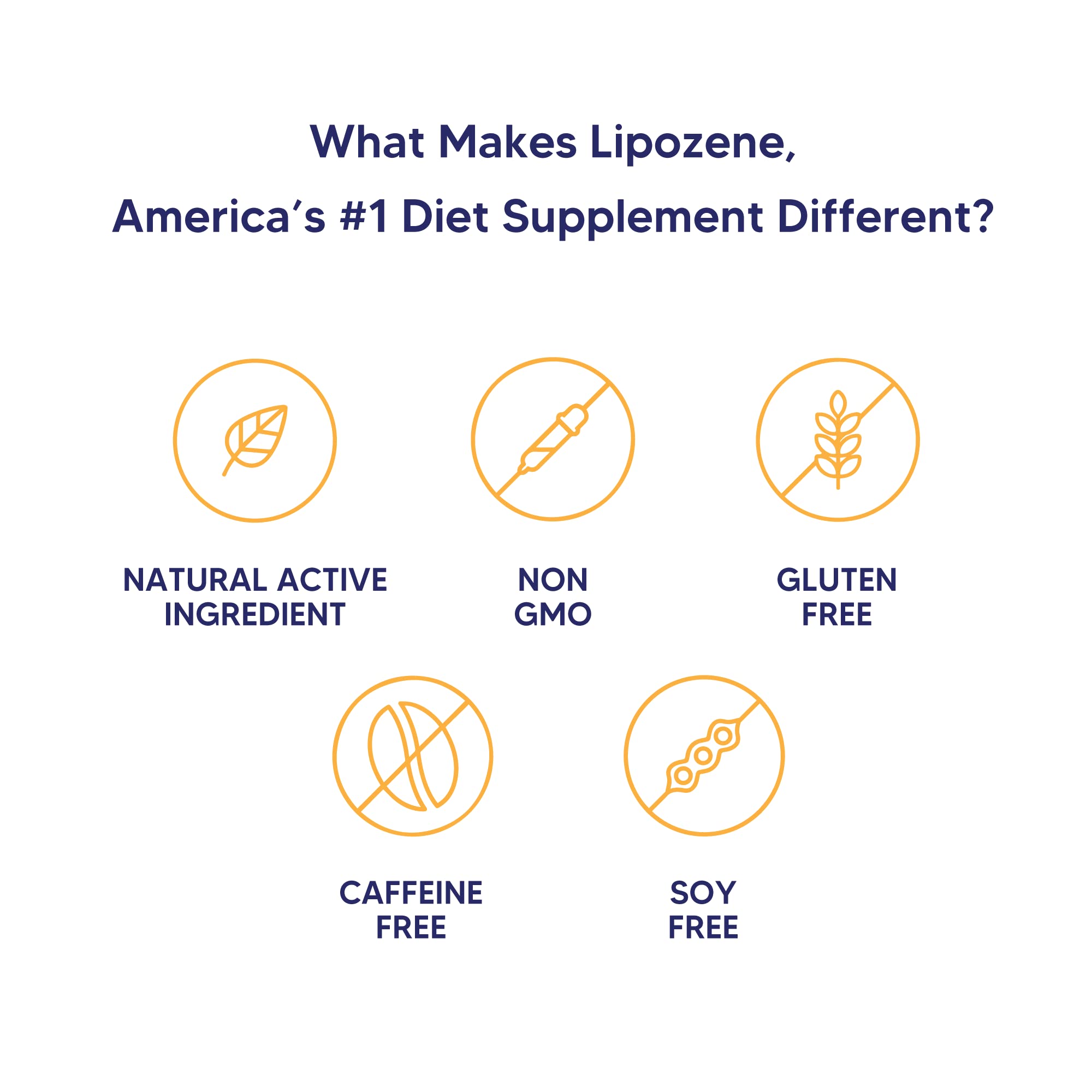 Lipozene Diet Pills – 4 Bottles (120 Capsules) Fiber-Based Appetite Control
