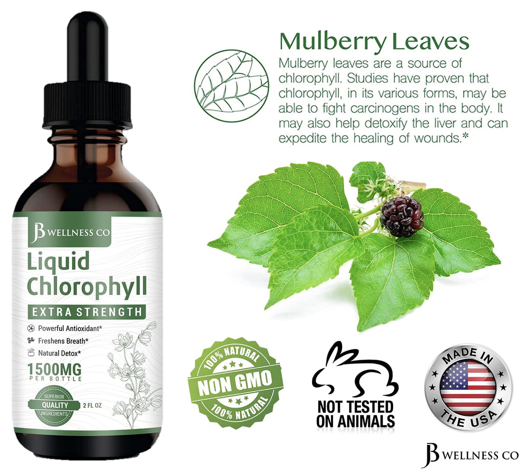 [2-Pack] Liquid Chlorophyll Drops – All-Natural Concentrate for Immune Support, Energy & Digestion | Mulberry Leaves - 240 Servings