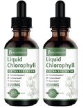 [2-Pack] Liquid Chlorophyll Drops – All-Natural Concentrate for Immune Support, Energy & Digestion | Mulberry Leaves - 240 Servings