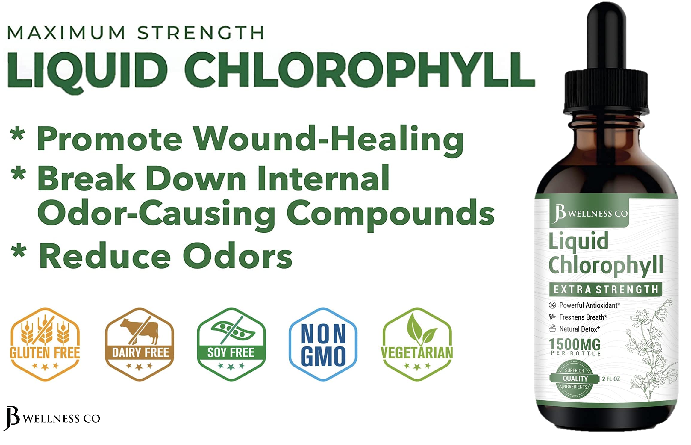 [2-Pack] Liquid Chlorophyll Drops – All-Natural Concentrate for Immune Support, Energy & Digestion | Mulberry Leaves - 240 Servings