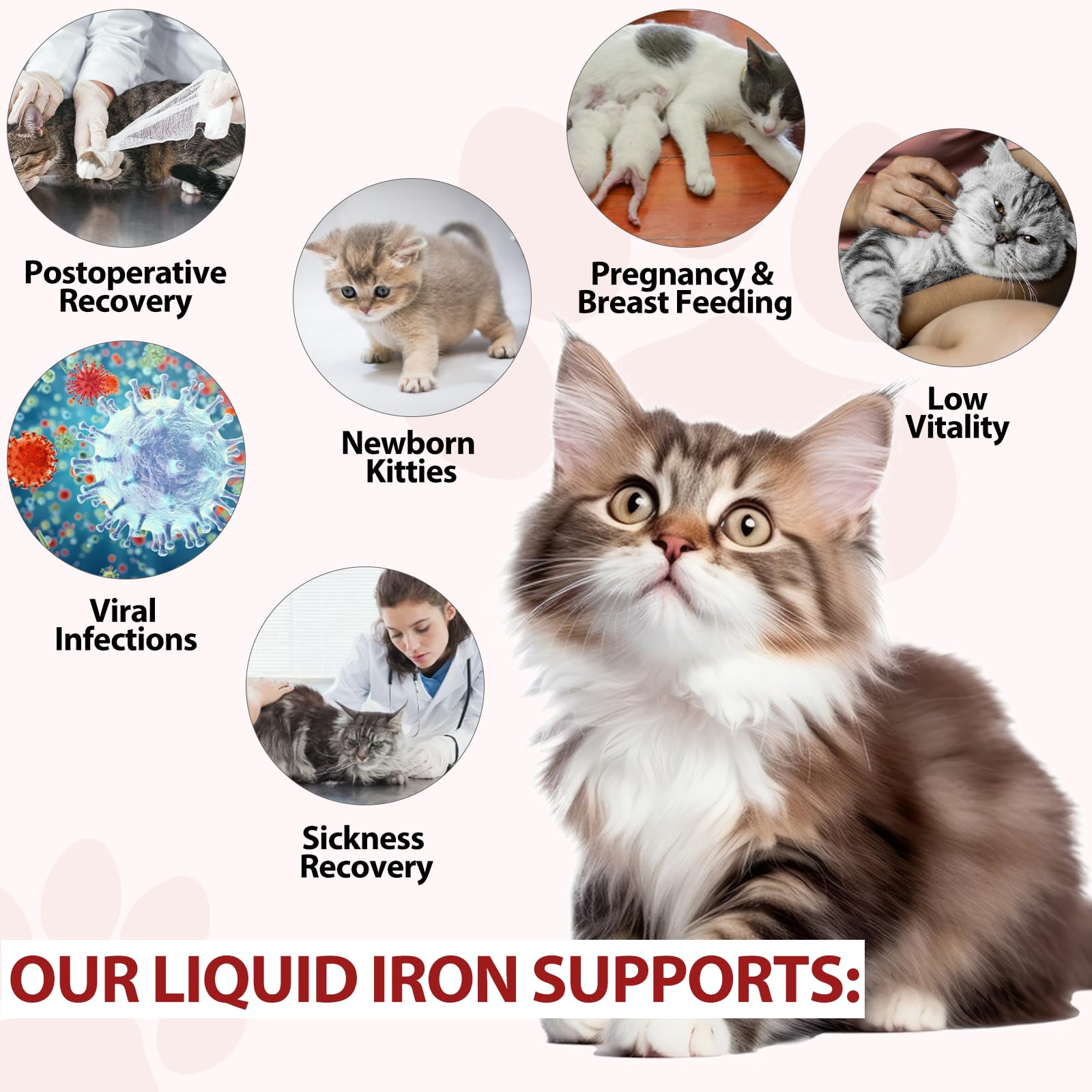Liquid Iron Drops for Cats - Supports Anemia, Energy & Vitality (Caramel Flavor) 2 fl oz
