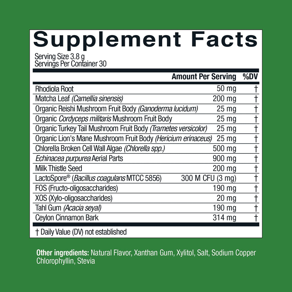 Live Conscious Beyond Greens Matcha Powder – Immune Support & Energy, 2-Pack (30 Servings)