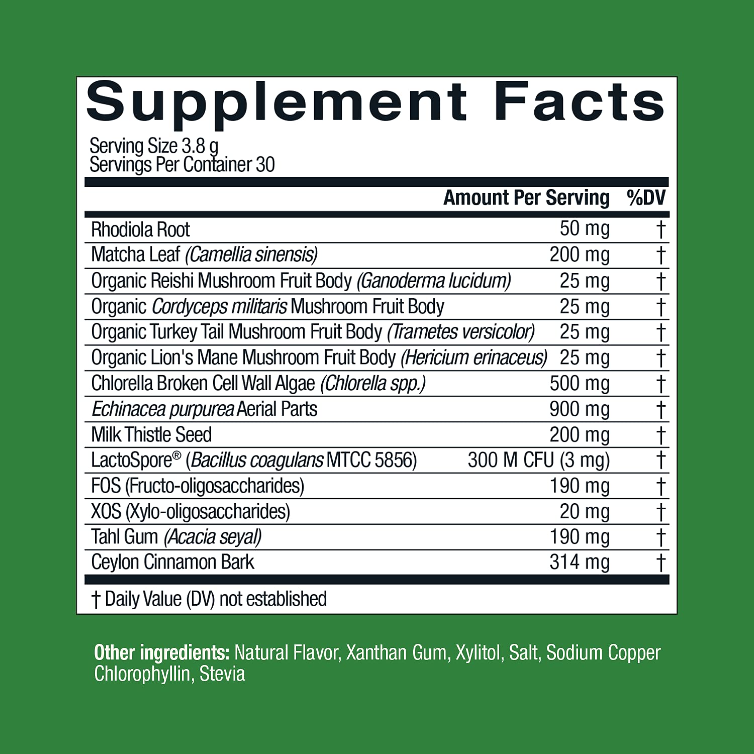Live Conscious Beyond Greens Matcha Powder – Immune Support & Energy, 2-Pack (30 Servings)