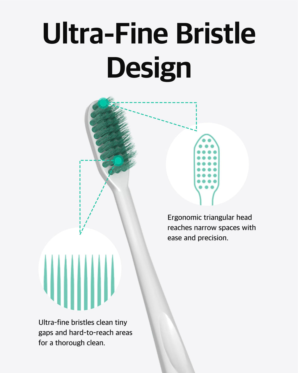 LiveOrals Whitening Set for Adults – Enamel-Safe Toothpaste & Ultra-Fine Bristle Toothbrush (Pack of 3)