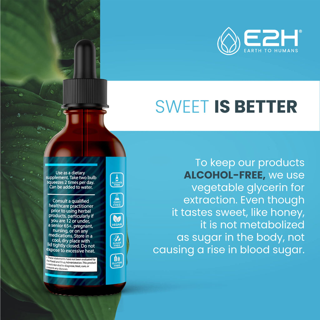 E2H Liver Support Liquid Drops – Milk Thistle Detox with Artichoke & Dandelion | 3 Bottles