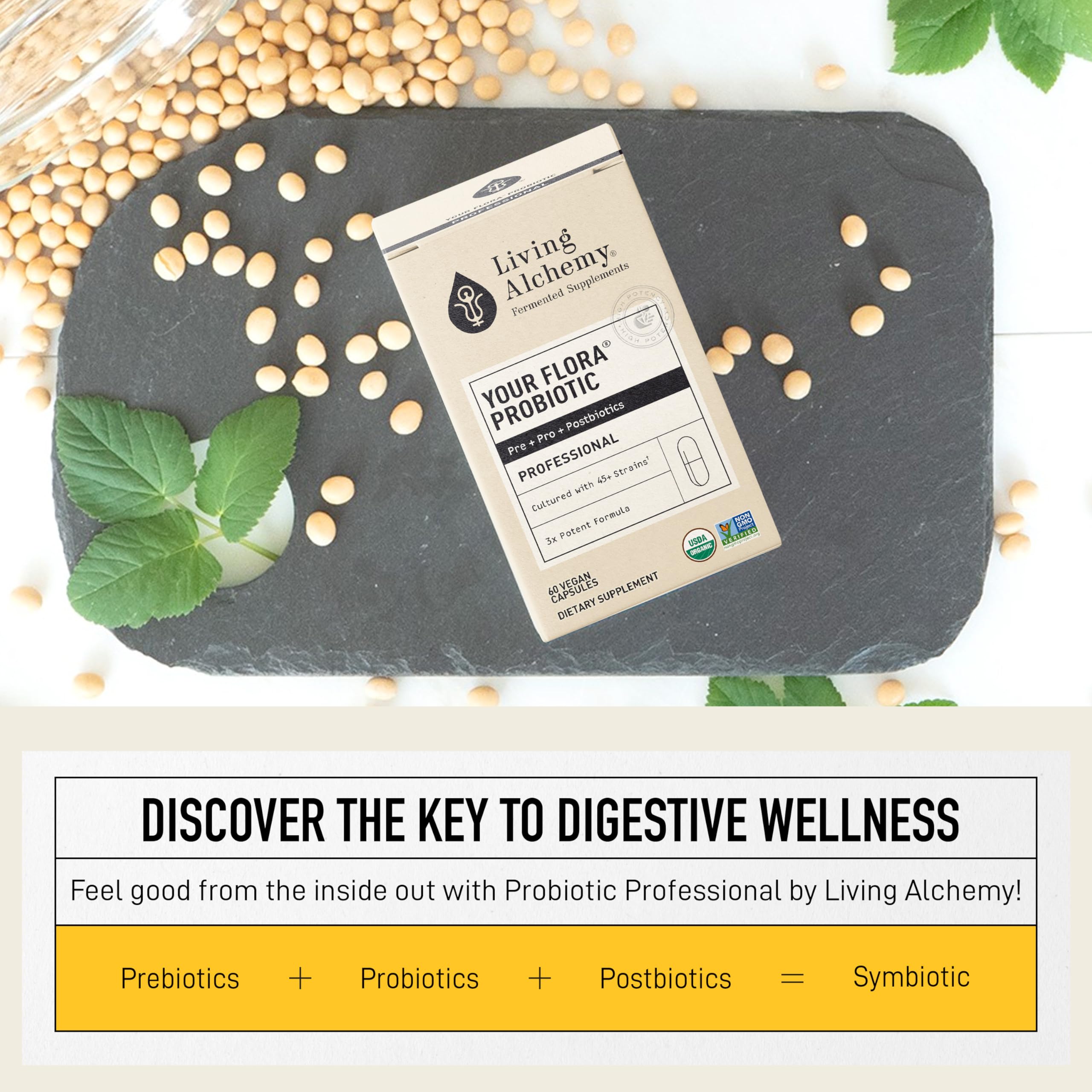 Living Alchemy Gut Health Supplements for Men & Women - Your Flora Probiotic Professional Digestion Supplement with Fermented Soybean, Prebiotics, Digestive Enzyme - Vegan, Non-GMO, 60 Pcs