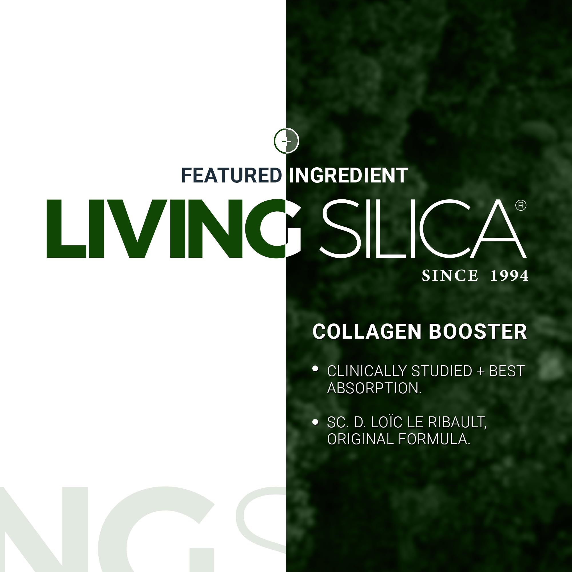 Living Silica Plant-Based Collagen Booster | Vegan | 500 ml