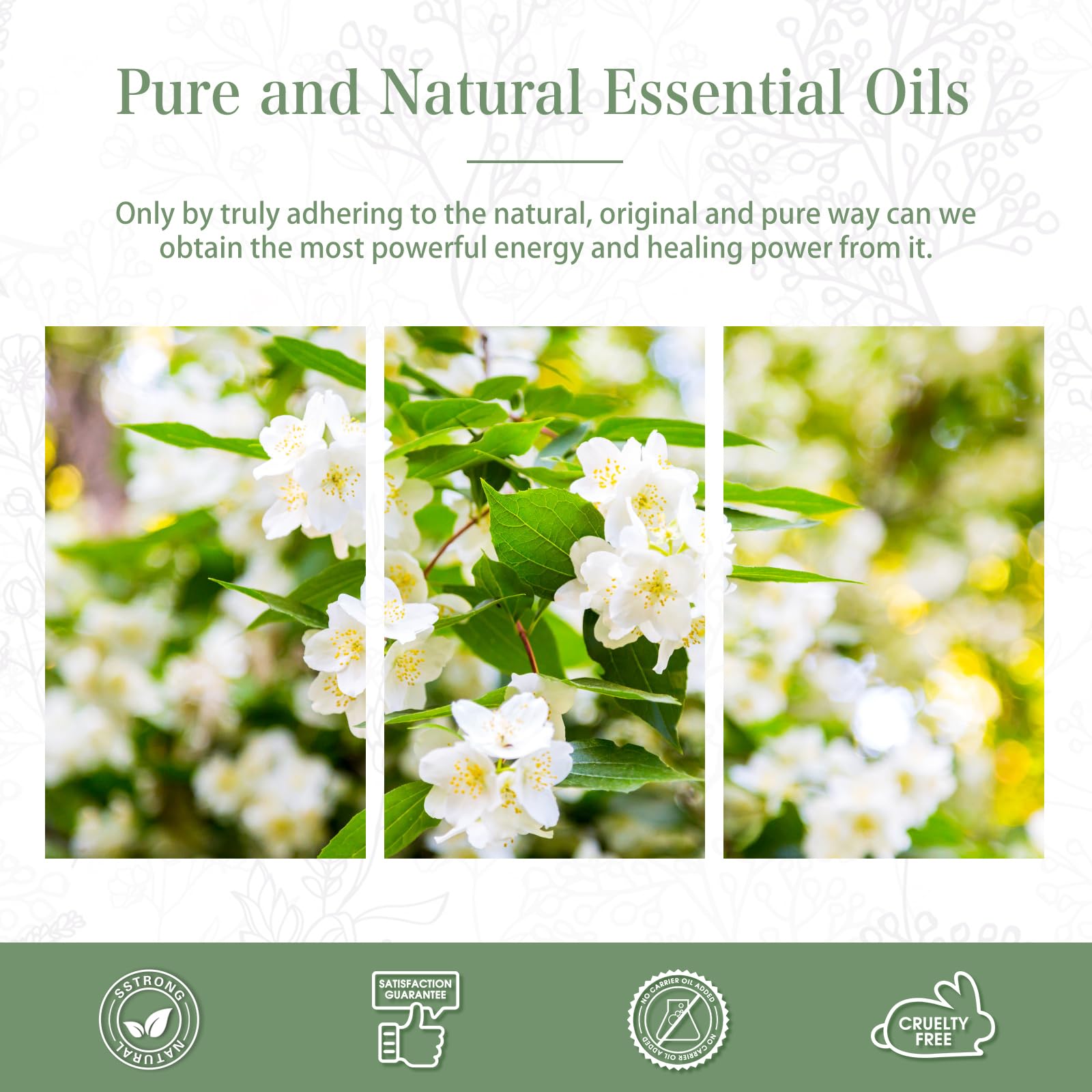 Jasmine Essential Oil 30ml | PHATOIL Long-Lasting Jasmine Oil for Aromatherapy, Diffusers, DIY Soap & Candles