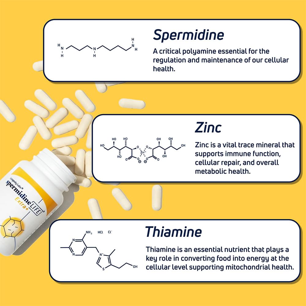 Longevity Labs+ spermidineLIFE Extra+ Natural Supplement – Vegan, Zinc, 60 Capsules