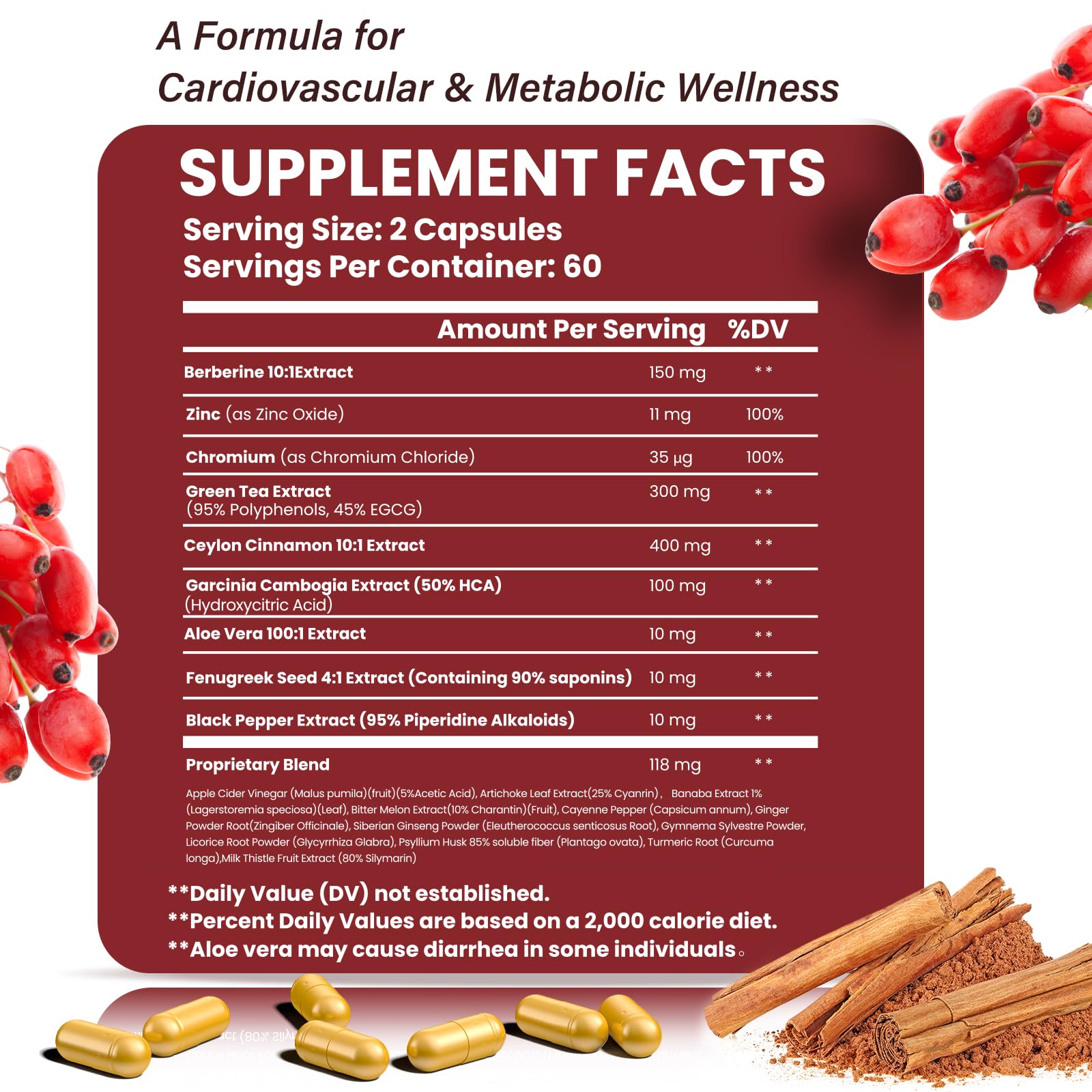 Lookatool 21-in-1 Berberine with Ceylon Cinnamon Phytosome | Metabolism Support 120 Capsules
