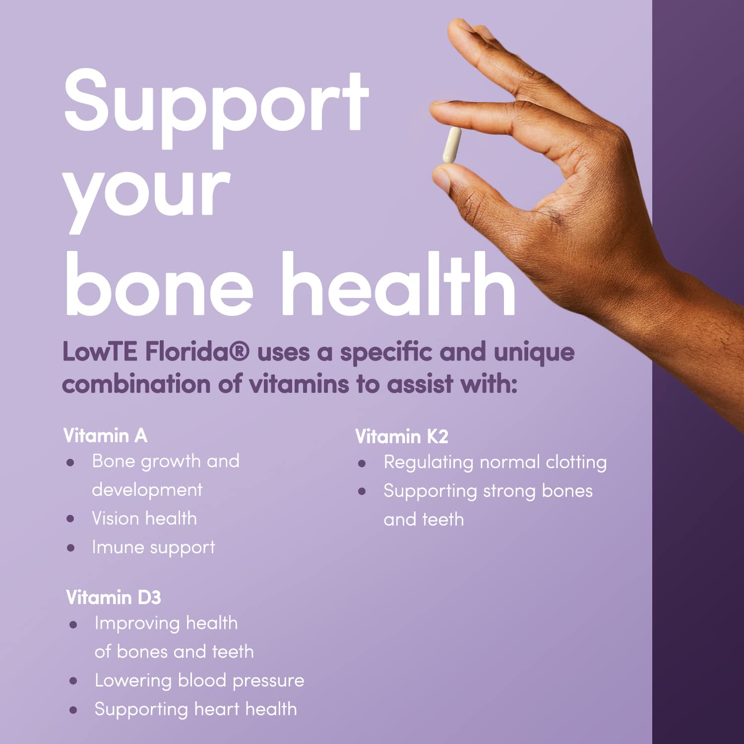 LowTE Florida ADK 10-90 Capsules - Vitamin D3 K2 A Multivitamin for Bones & Heart