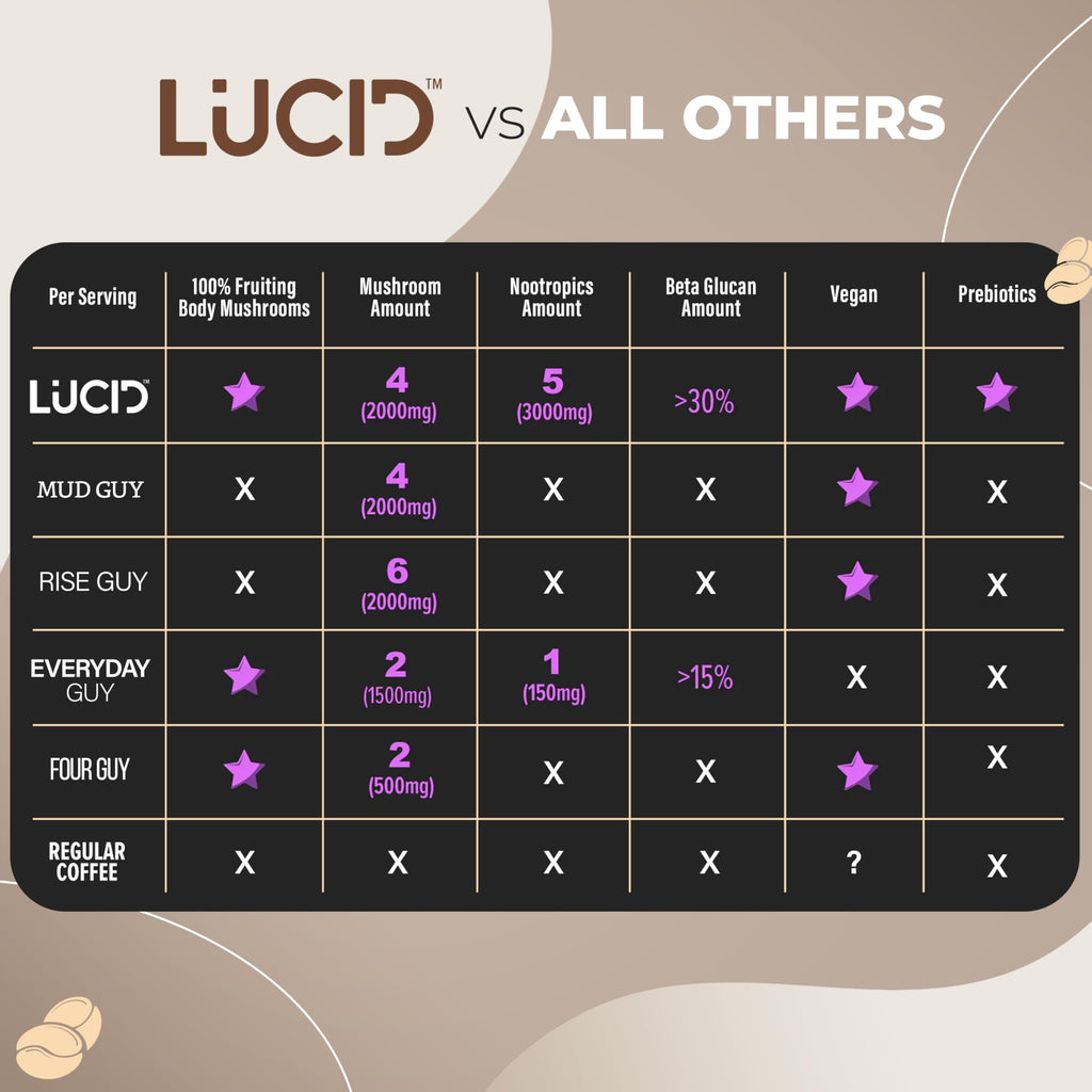 Lucid Superfood Organic Mushroom Chai with Nootropics – Lion’s Mane, Cordyceps & Tremella – Instant Focus Chai – USA Made