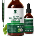 Lukaree Chlorophyll Liquid Drops 200mg - 4X Concentrated Mint Flavor