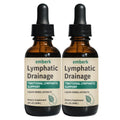 Lymphatic Drainage Drops – 2000mg Herbal Blend with Elderberry & Echinacea | Immune Support & Detox (2 fl oz, 2 pcs)
